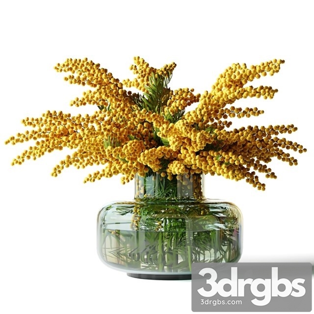 Mimosa In A Low Glass Vase 3dsmax Download - thumbnail 1