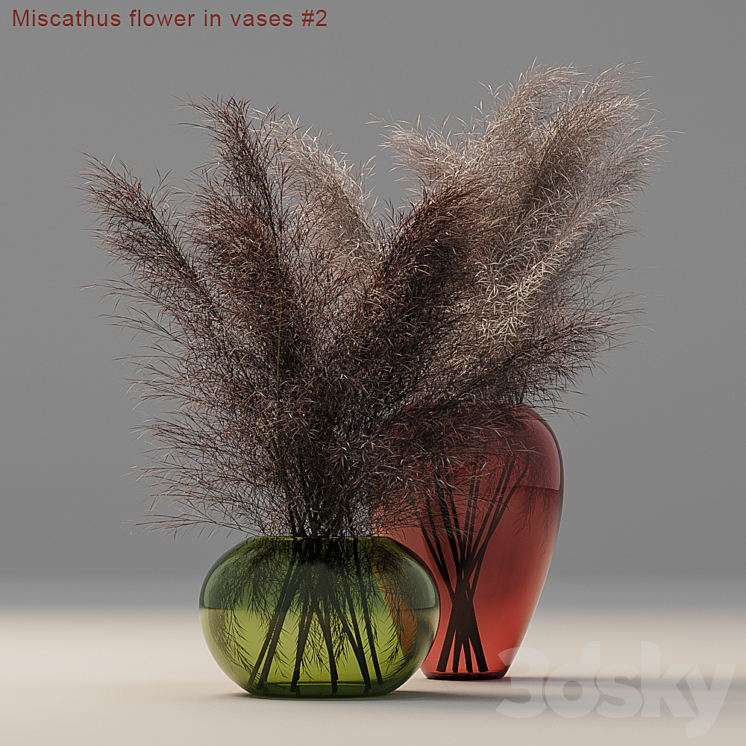 Miscathus flower in vases # 2 3DS Max - thumbnail 1