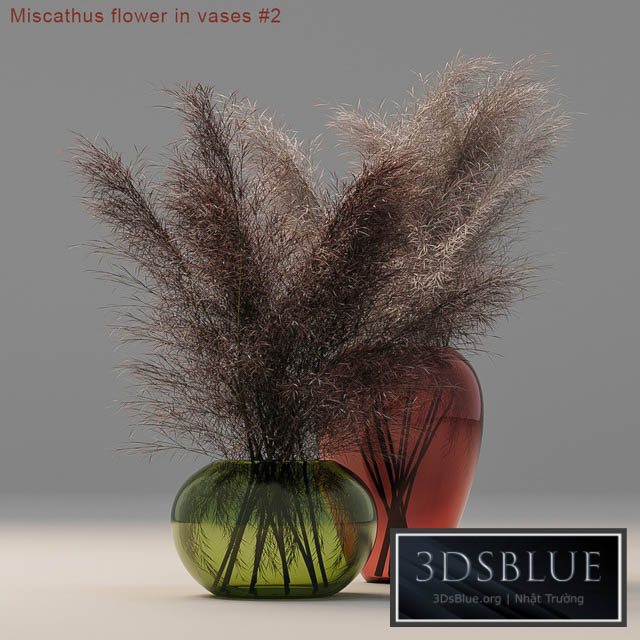 Miscathus flower in vases # 2 3DS Max - thumbnail 3