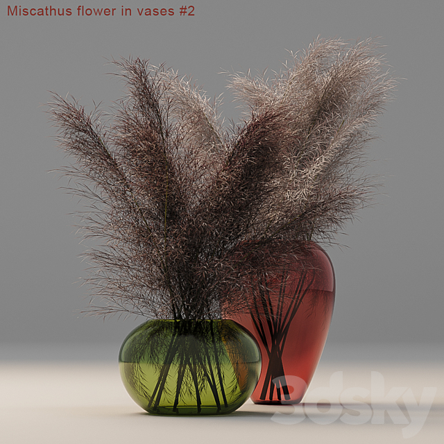 Miscathus flower in vases # 2 3DSMax File - thumbnail 1