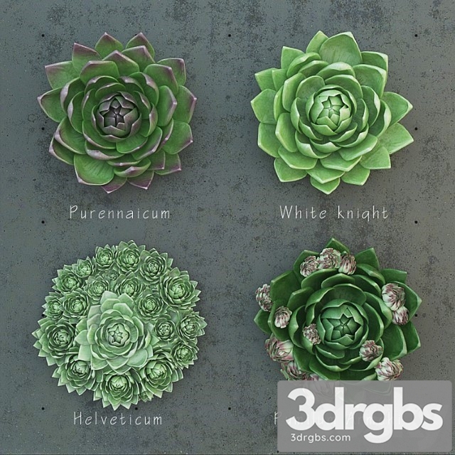 Molodilo Set 1 3dsmax Download - thumbnail 1