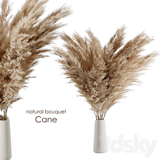 Natural cane bouquet 3DSMax File - thumbnail 1