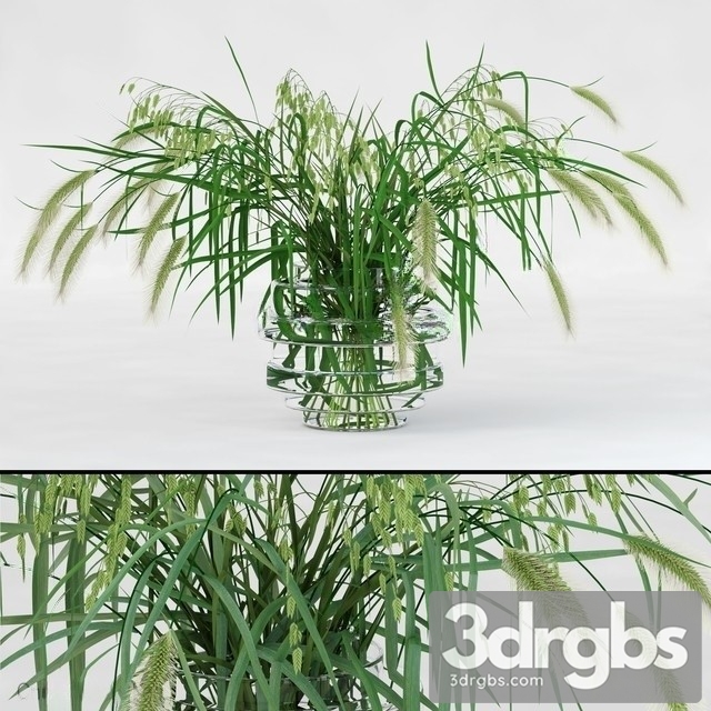 Northern Sea Oats and Pennisetum Green 3dsmax Download - thumbnail 1