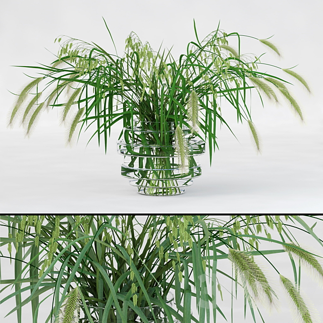 Northern Sea Oats and Pennisetum Green 3DSMax File - thumbnail 1