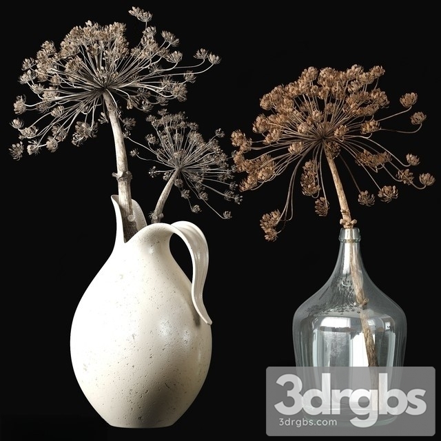 Old heracleum 2 3dsmax Download - thumbnail 1