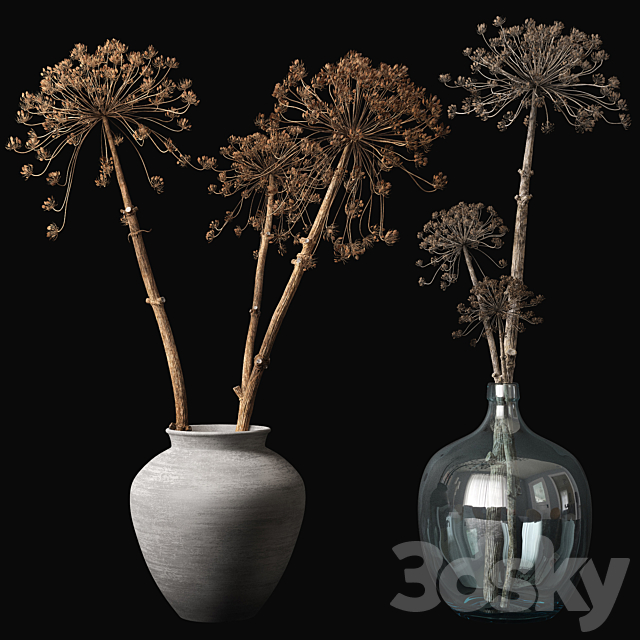 Old heracleum 3DS Max Model - thumbnail 1