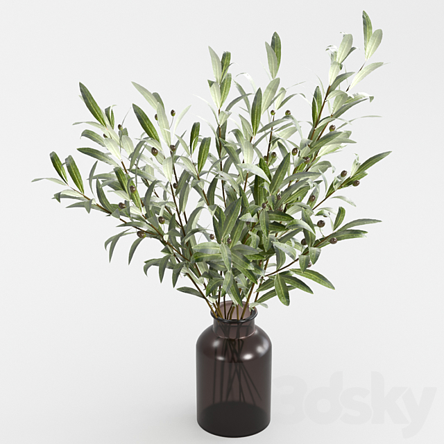 Olive branches in a vase 3ds Max - thumbnail 1