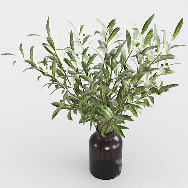 Olive branches in a vase 3ds Max - thumbnail 2