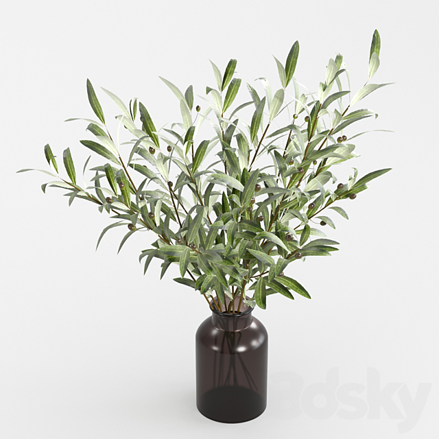 Olive branches in a vase 3ds Max - thumbnail 3