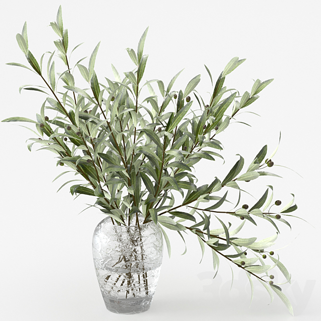 Olive branches in a vase 3DS Max Model - thumbnail 3