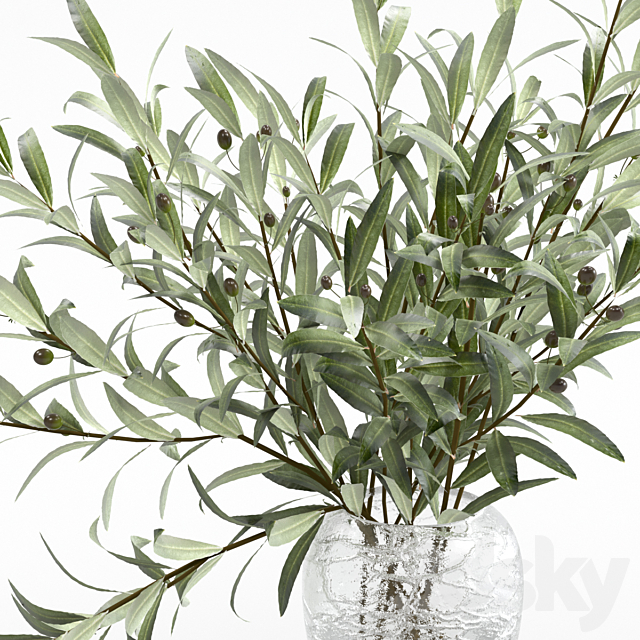 Olive branches in a vase 3DS Max Model - thumbnail 4