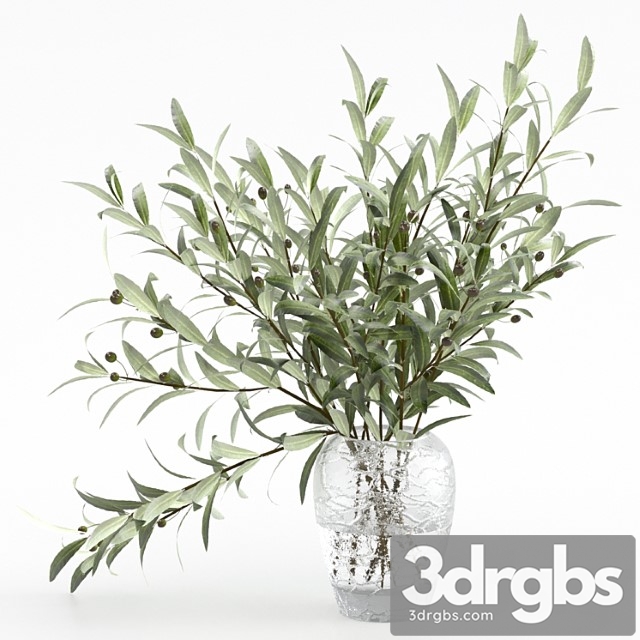 Olive branches in a vase - thumbnail 1