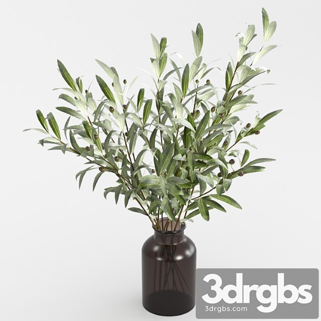 Olive branches in a vase_2 - thumbnail 1