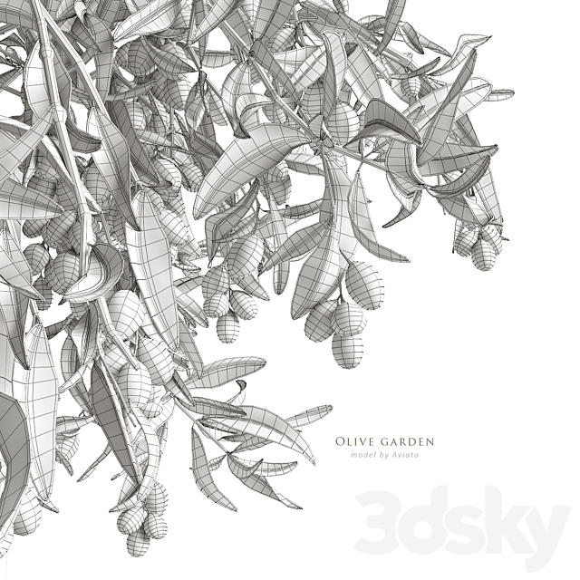 olive garden 3DSMax File - thumbnail 5