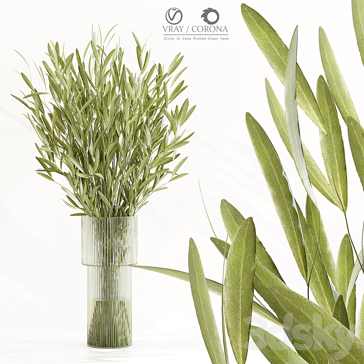 Olive In Dina Fluted Glass Vase 3DS Max Model - thumbnail 1