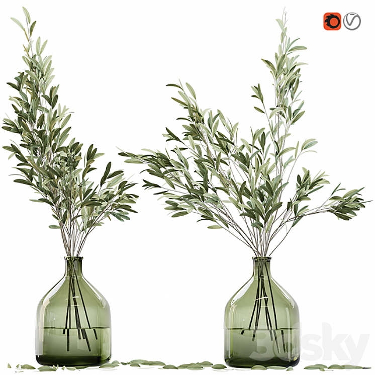 Olive stems in glass vase with water 3DS Max - thumbnail 1