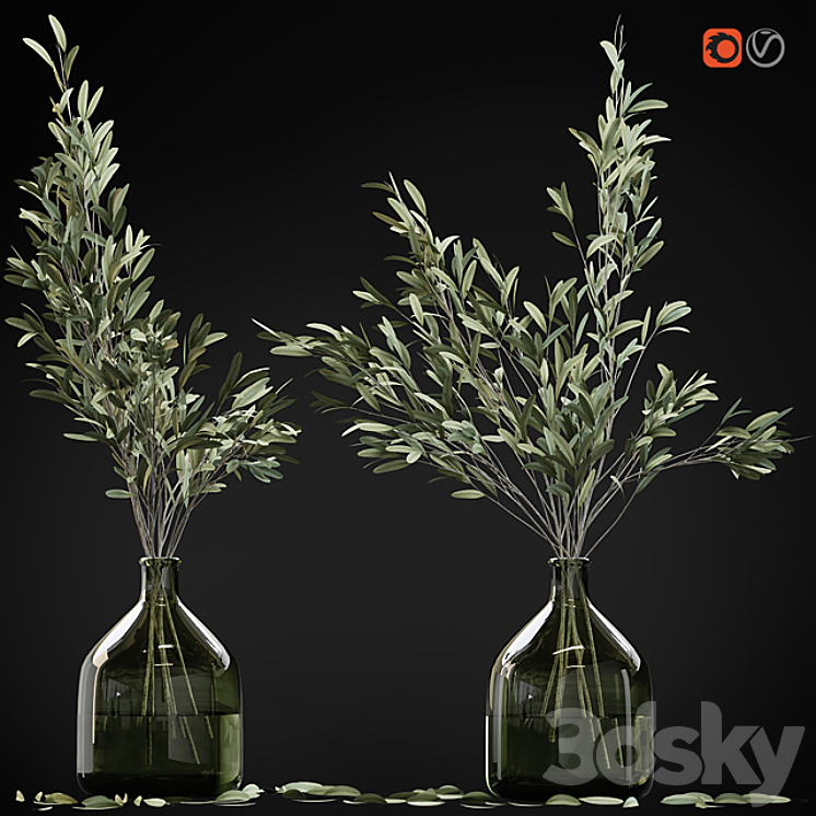 Olive stems in glass vase with water 3DS Max - thumbnail 2