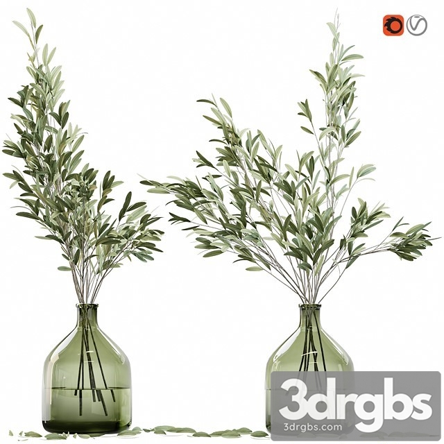 Olive Stems in Glass Vase with Water 3dsmax Download - thumbnail 1