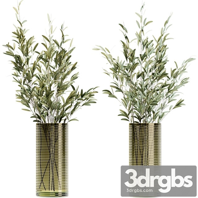 Olive stems in simple glass ribbed vase - thumbnail 1