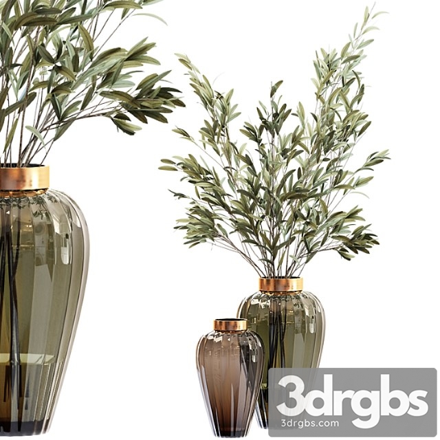 Olive stems in zara glass vase with water - thumbnail 1