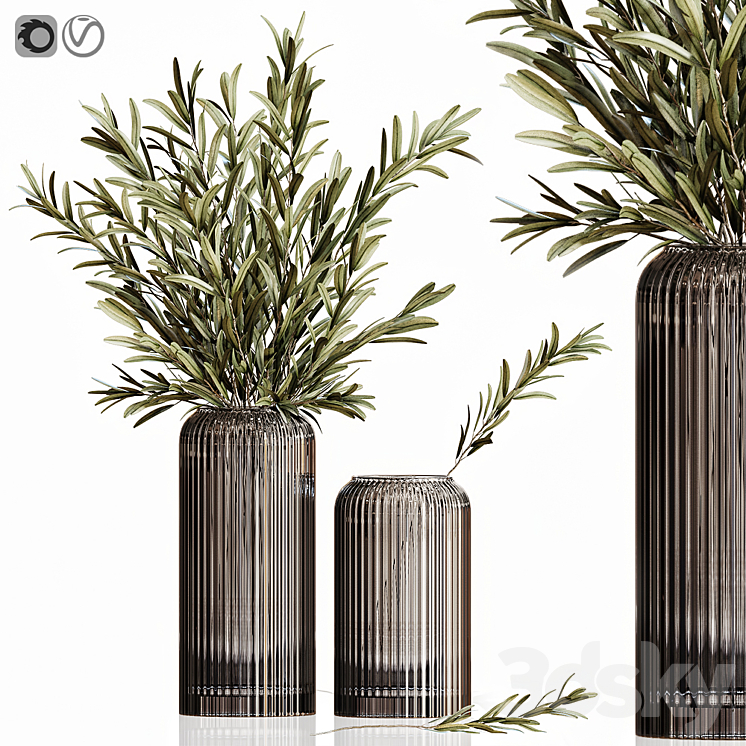 Olives in vases 3 3DS Max - thumbnail 1