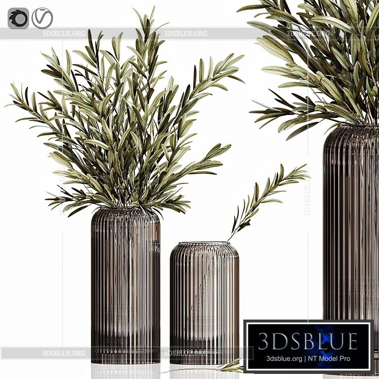 Olives in vases 3 3DS Max - thumbnail 3