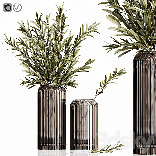 Olives in vases 3 3DSMax File - thumbnail 1