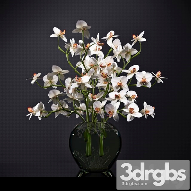 Orchid 6 3dsmax Download - thumbnail 1