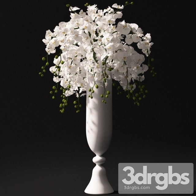 Orchid Bouquet 2 3dsmax Download - thumbnail 1