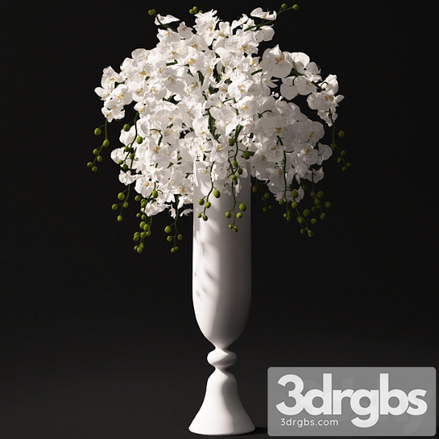 Orchid Bouquet 22 3dsmax Download - thumbnail 1