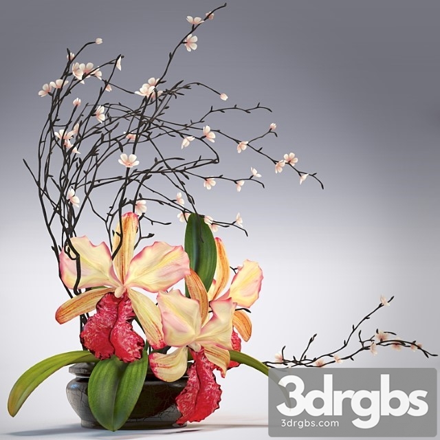 Orchid Composition 3dsmax Download - thumbnail 1