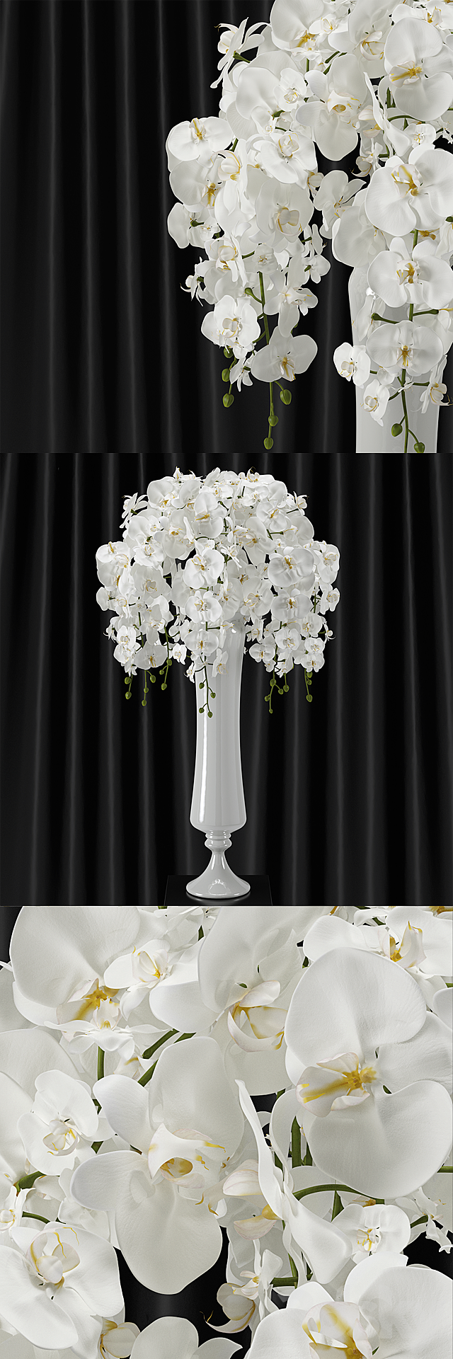 Orchid (phalaenopsis) bouquet 3DSMax File - thumbnail 1