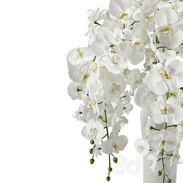 Orchid (phalaenopsis) bouquet 3DSMax File - thumbnail 2