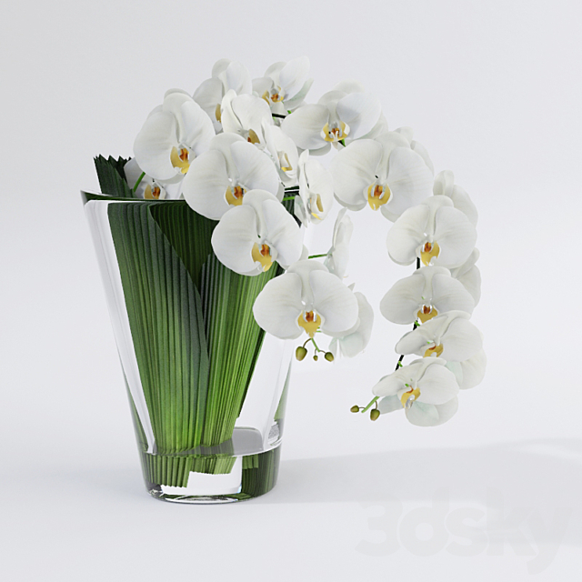 Orchid VG 3DSMax File - thumbnail 1