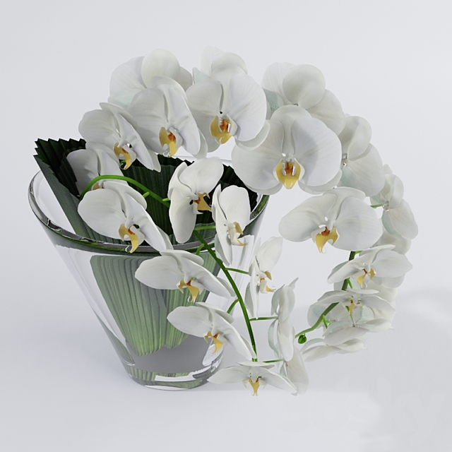 Orchid VG 3DSMax File - thumbnail 2