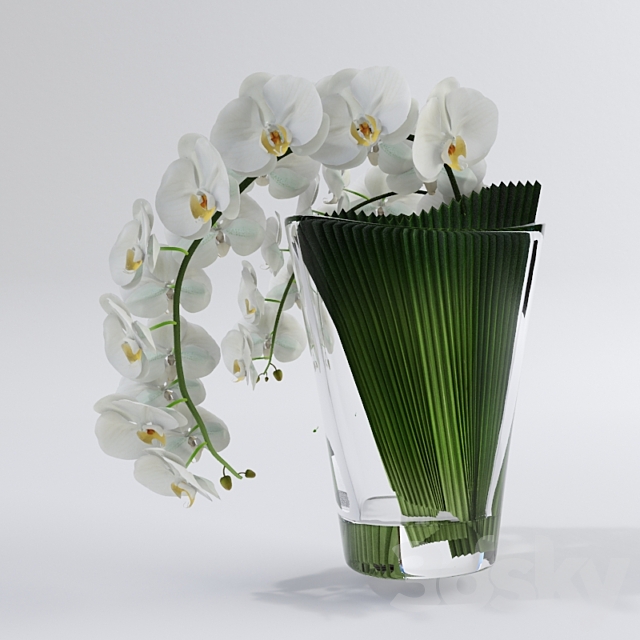 Orchid VG 3DSMax File - thumbnail 3