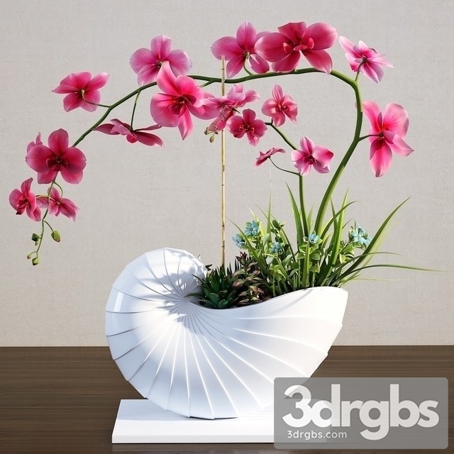 Orchidea Bouquet 3dsmax Download - thumbnail 1