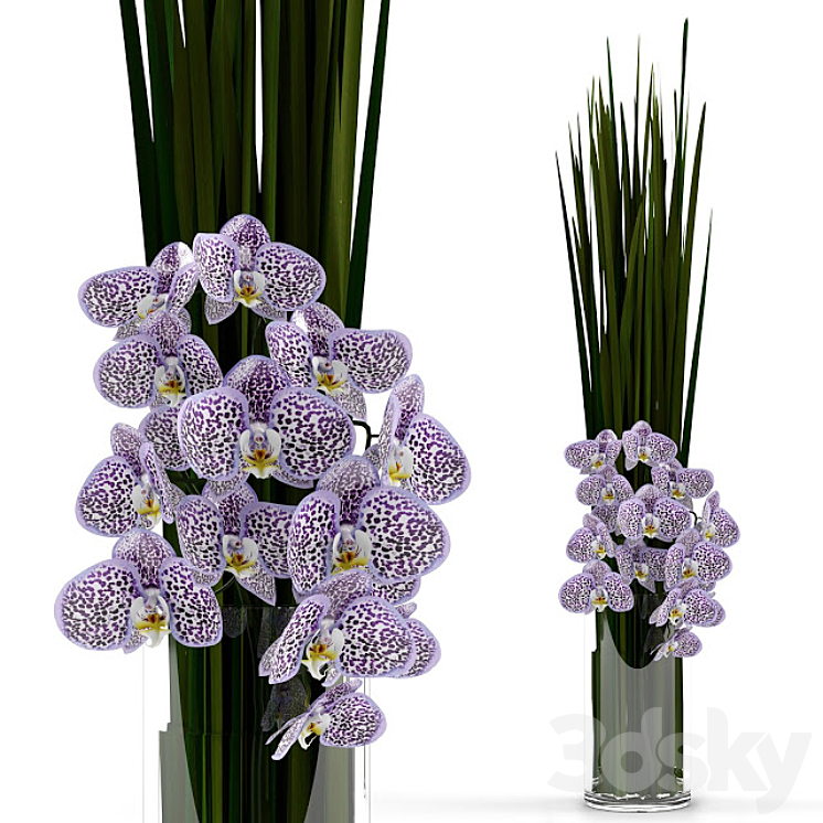 Orchids with grass in glass vase 3DS Max - thumbnail 1