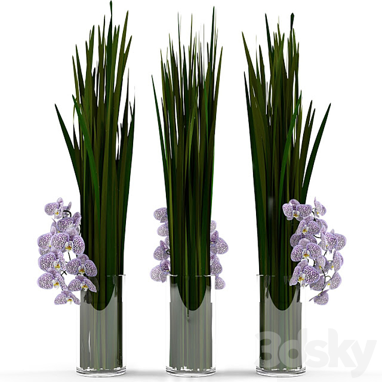 Orchids with grass in glass vase 3DS Max - thumbnail 2