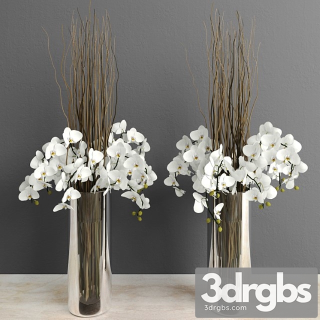 Orchids With Willow Branches 3dsmax Download - thumbnail 1