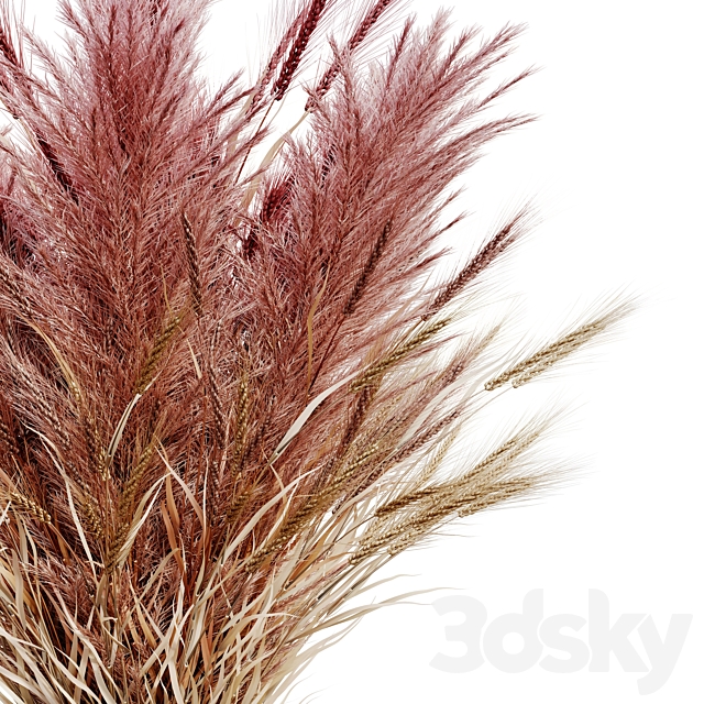 Pampas bouquet flower_02 3DSMax File - thumbnail 3