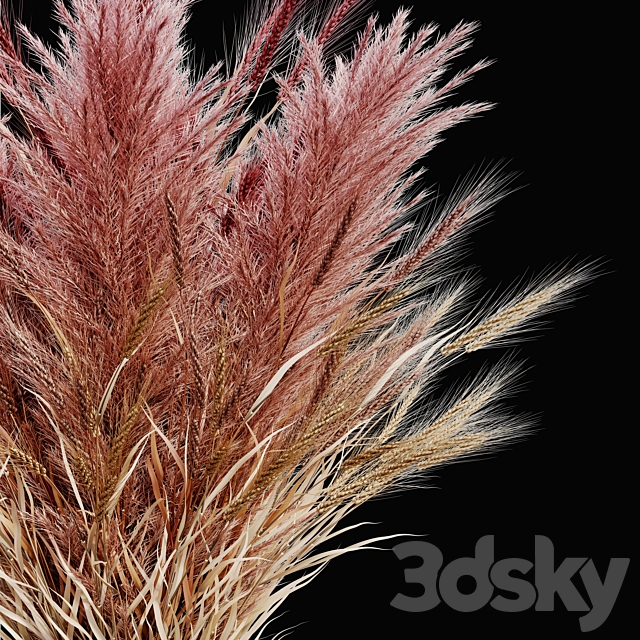 Pampas bouquet flower_02 3DSMax File - thumbnail 4