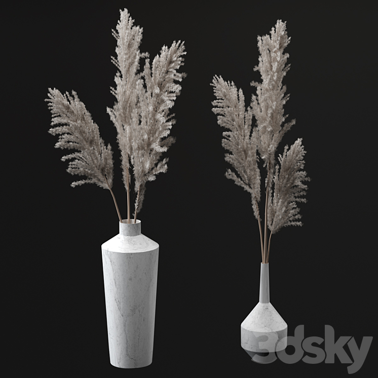 Pampas bouquets 3DS Max - thumbnail 1