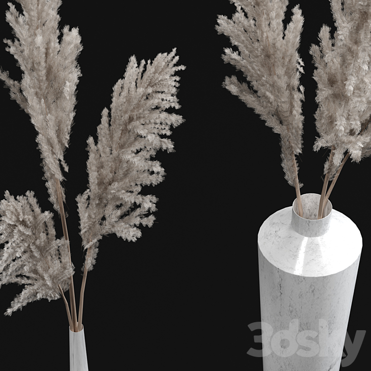 Pampas bouquets 3DS Max - thumbnail 2