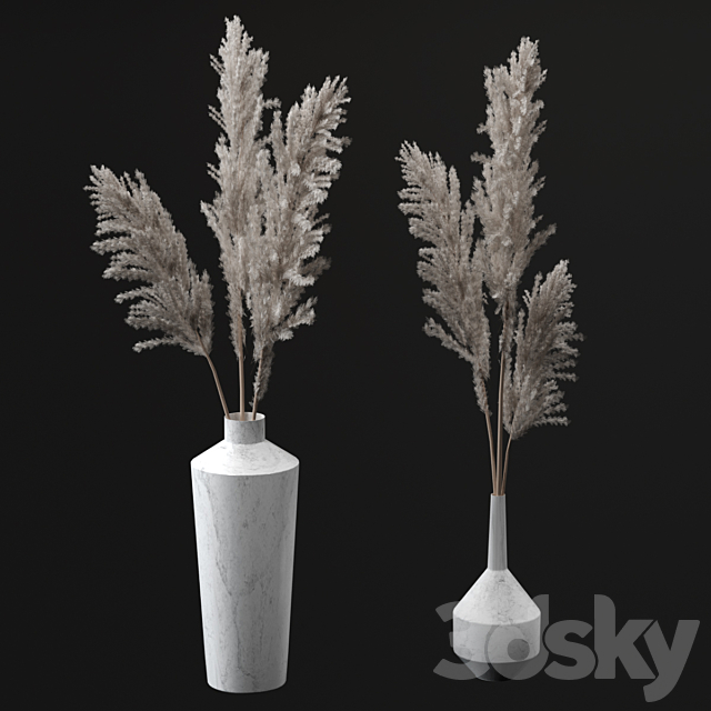 Pampas bouquets 3DSMax File - thumbnail 1