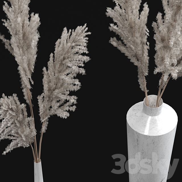 Pampas bouquets 3DSMax File - thumbnail 2