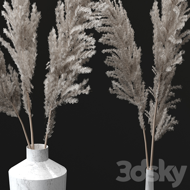 Pampas bouquets 3DSMax File - thumbnail 3