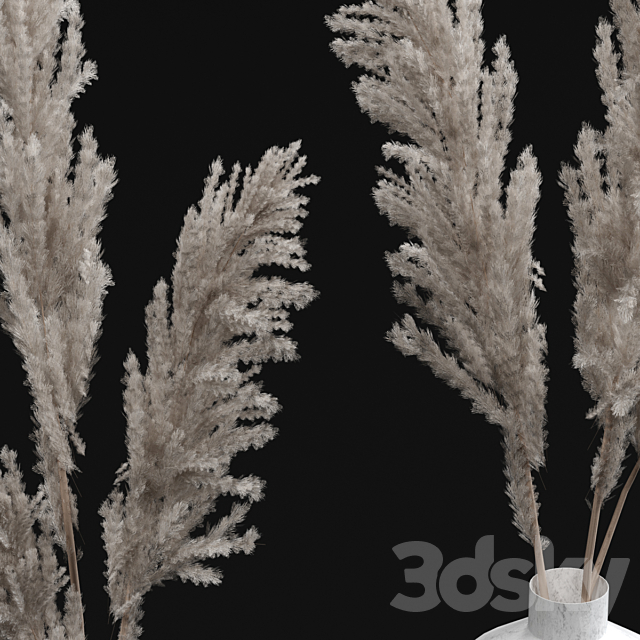 Pampas bouquets 3DSMax File - thumbnail 4