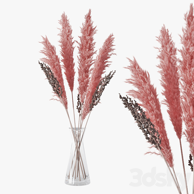 Pampas grass 04 3DS Max - thumbnail 1