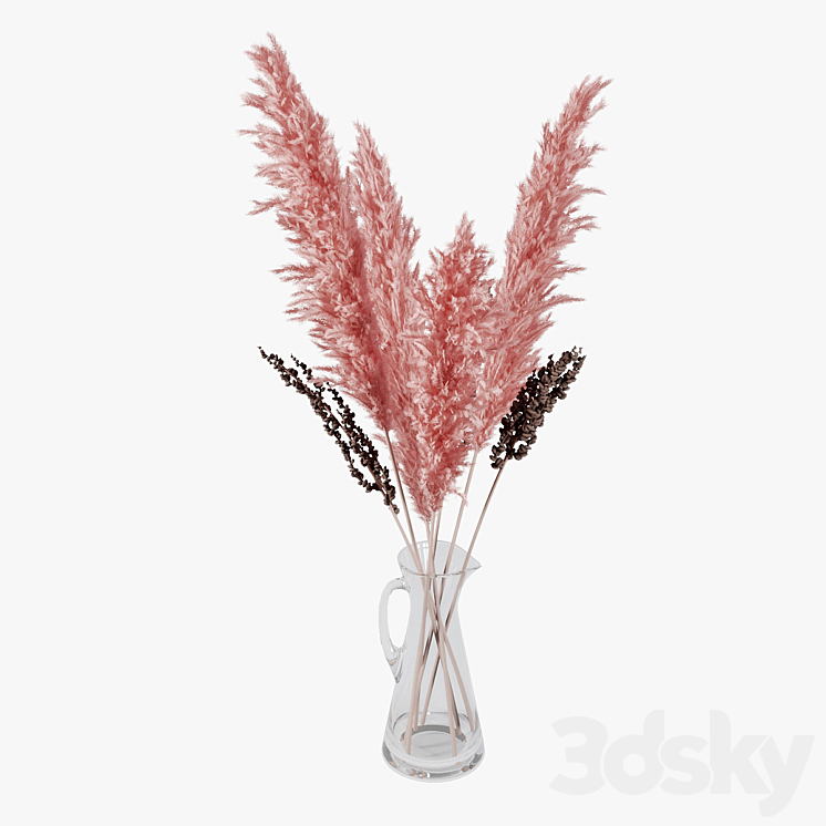 Pampas grass 04 3DS Max - thumbnail 2